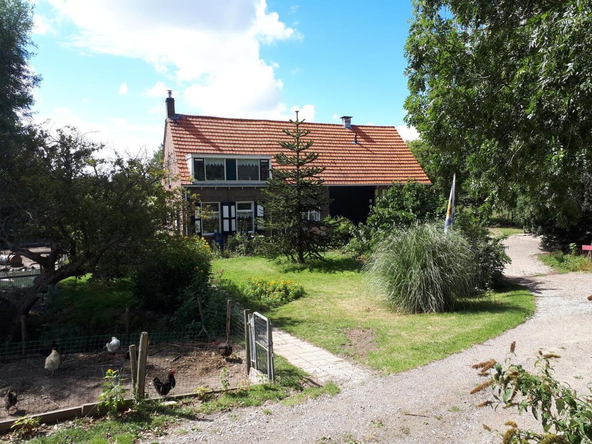 “In Oans Oefje” Parel In De Polder! Lejlighed Lewedorp Eksteriør billede