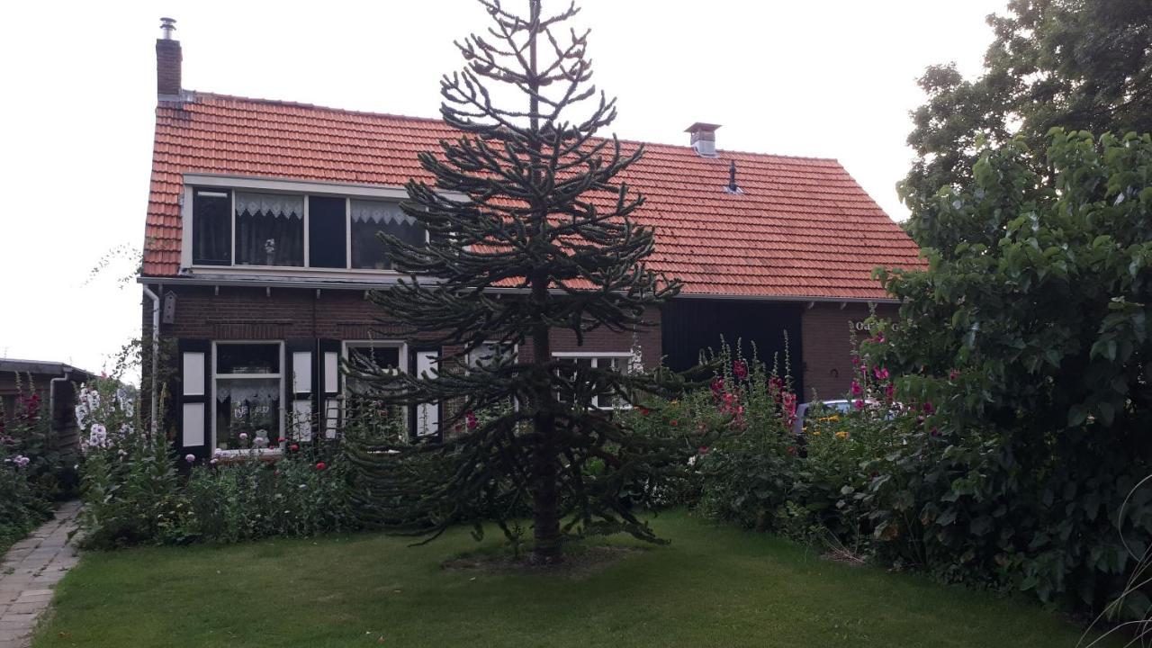 “In Oans Oefje” Parel In De Polder! Lejlighed Lewedorp Eksteriør billede