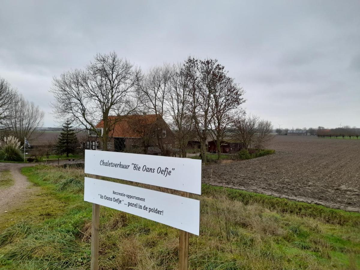 “In Oans Oefje” Parel In De Polder! Lejlighed Lewedorp Eksteriør billede