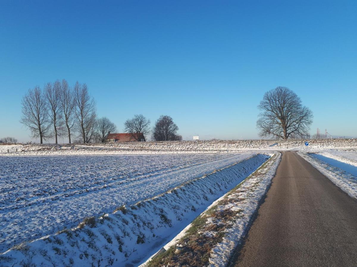“In Oans Oefje” Parel In De Polder! Lejlighed Lewedorp Eksteriør billede