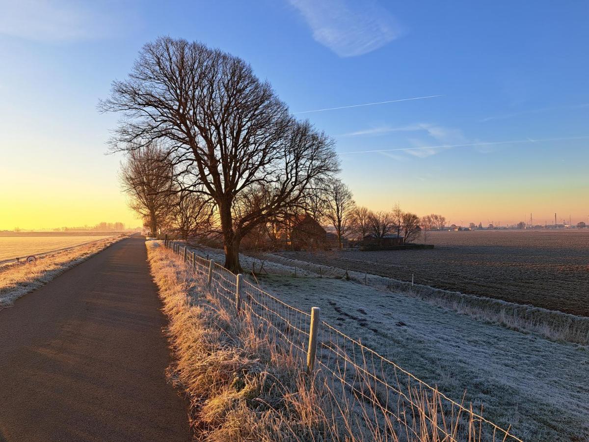 “In Oans Oefje” Parel In De Polder! Lejlighed Lewedorp Eksteriør billede